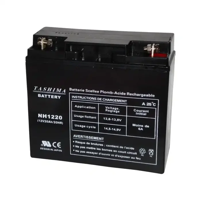 BATTERIE TASHIMA NH1220 100% ETANCHE pour CASTELGARDEN, HONDA, STIGA