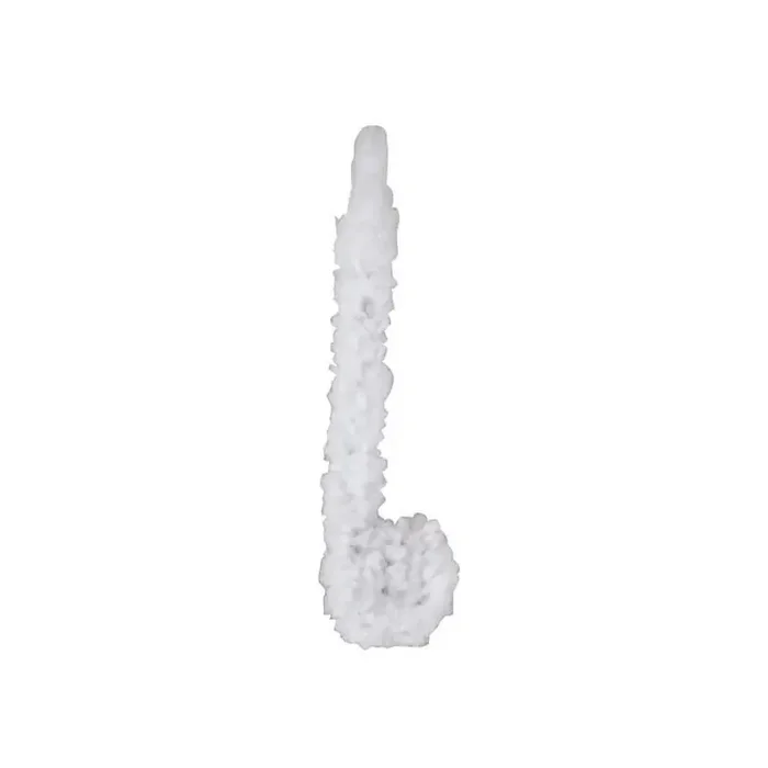 Bouchons obturateurs lubrifiés KERBL 1580201523