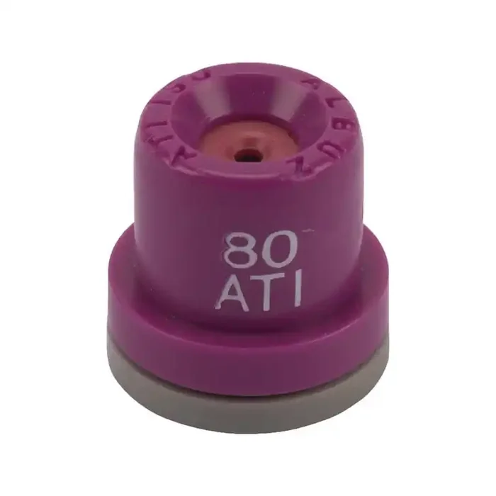 Buse ALBUZ ATI80025