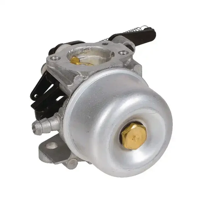 Carburateur BRIGGS ET STRATTON 796608