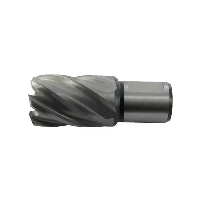 Caroteur 20x30mm HIKOKI 754409