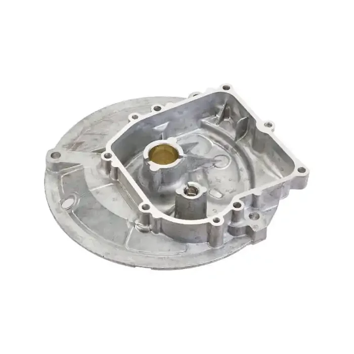 Carter BRIGGS ET STRATTON 594101
