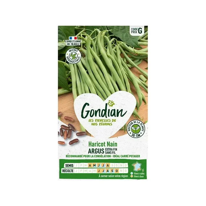 Haricot nain Argus extra fin sans fil France Elevage Gondian
