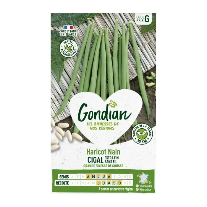 Haricot nain cigal extra fin sans fil France Elevage Gondian