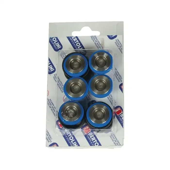 Jeu de soupapes BERTOLINI 039875973