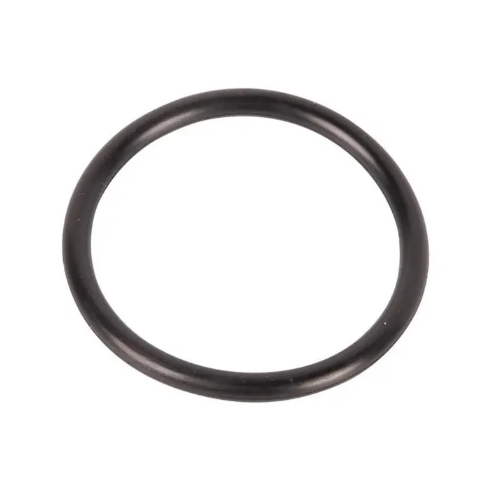 Joint GOLDONI 06230096