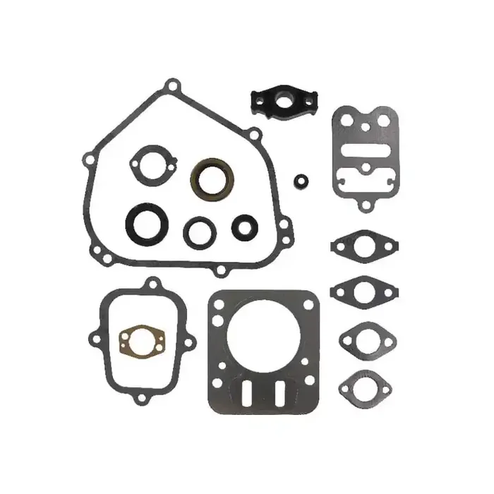 Kit BRIGGS ET STRATTON 698216