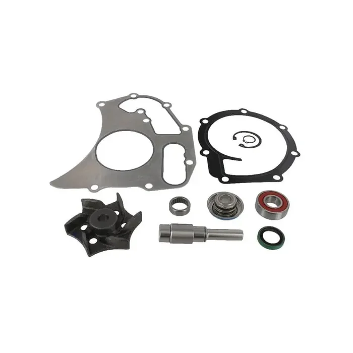 Kit de réparation de pompe à eau MASSEY FERGUSON 4225070M91