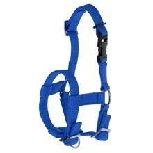 Licol pour alpaga, bleu