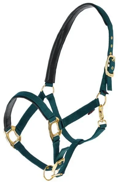 Licol TopLine Cob vert forest