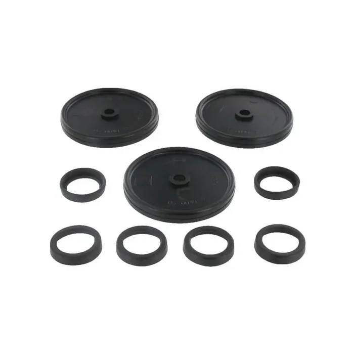 Membranes à piston BERTOLINI 039876973