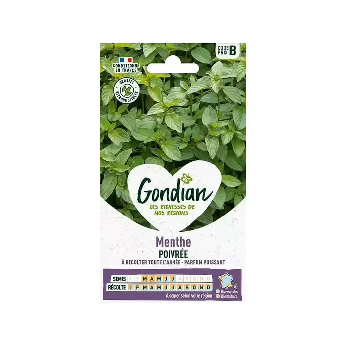 Menthe poivrée France Elevage Gondian