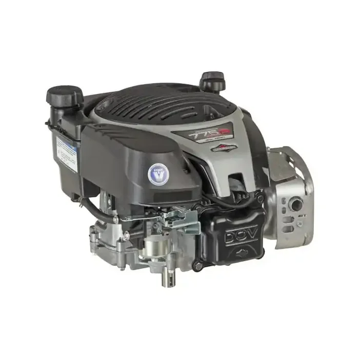 Moteur BRIGGS ET STRATTON 1006050039H5