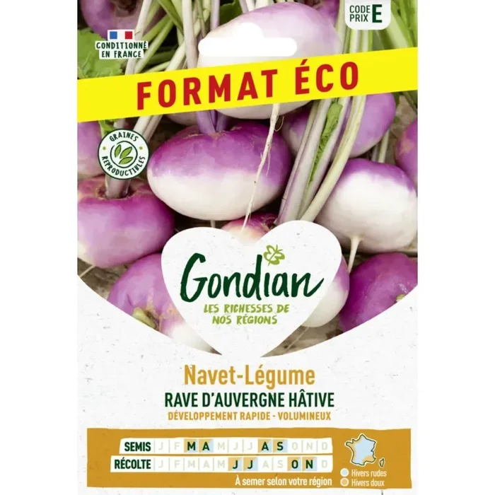 Navet-légume rave d‘Auvergne hative format éco France Elevage Gondian