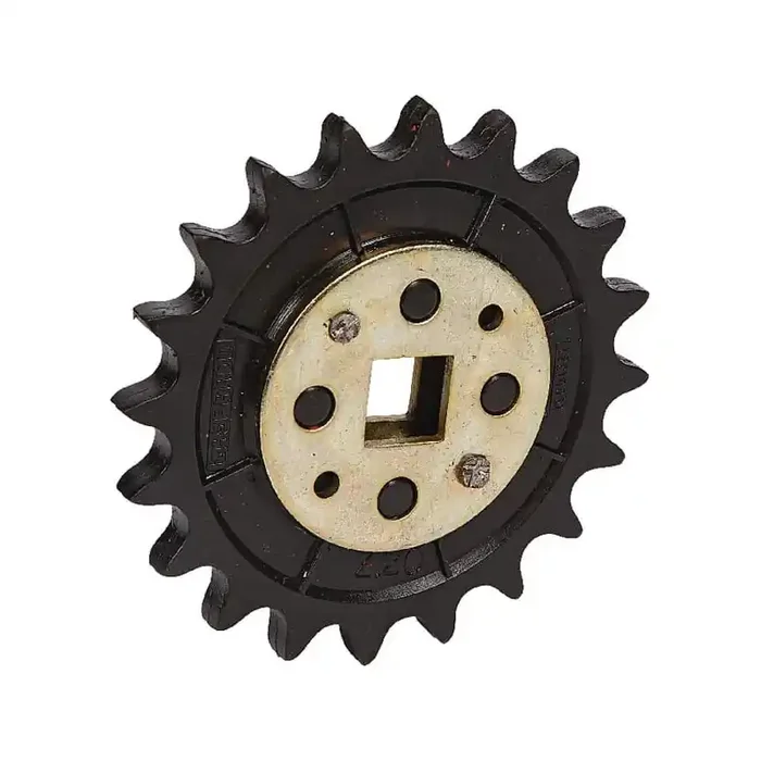 Pignon GASPARDO G66248165R