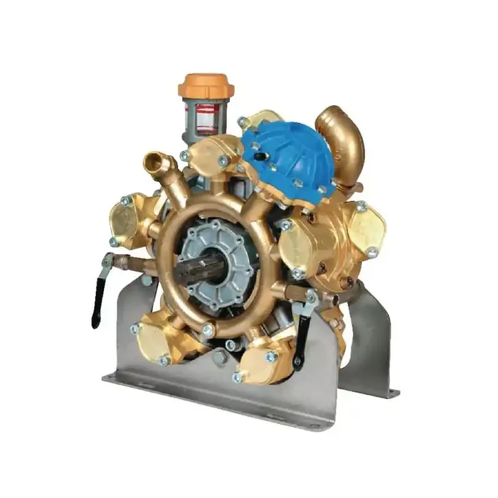 Pompe à piston BERTOLINI 496020973VD