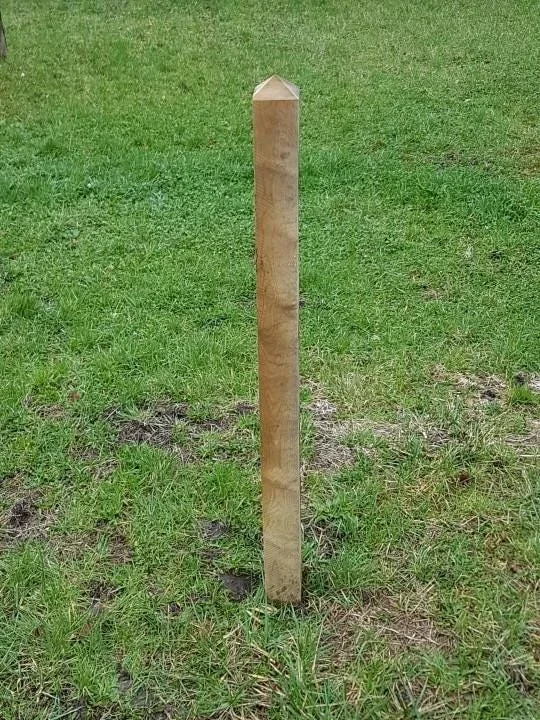 Poteau en chêne 15×15 2,5m