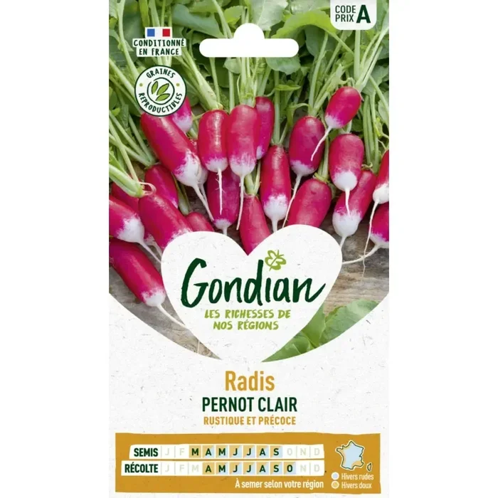 Radis Pernot clair France Elevage Gondian