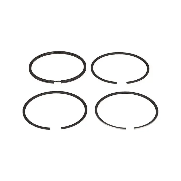Segments LOMBARDINI 8210055