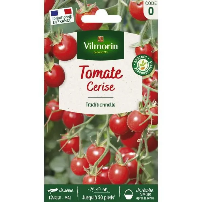 Tomate Cerise VL 0 France Elevage Vilmorin