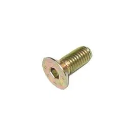 Vis du Loquet de porte Ford NH TL / TM / TS intérieure